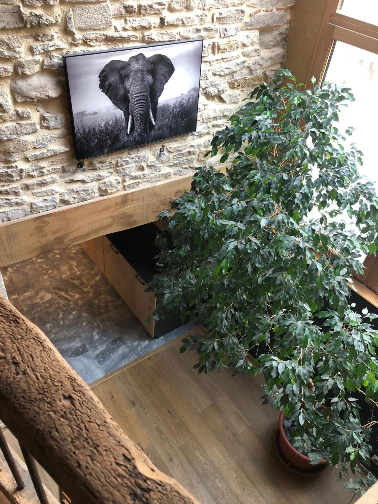 Maison Millot 博讷 外观 照片